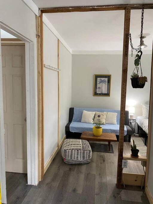 Studio Apt W Garden Kingston Luaran gambar
