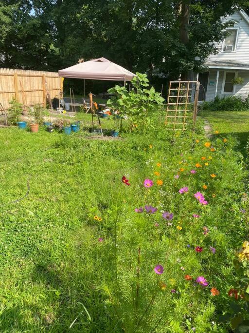 Studio Apt W Garden Kingston Luaran gambar
